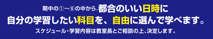 都合のいい日時に自分の学習したい科目を、自由に選んで学べます